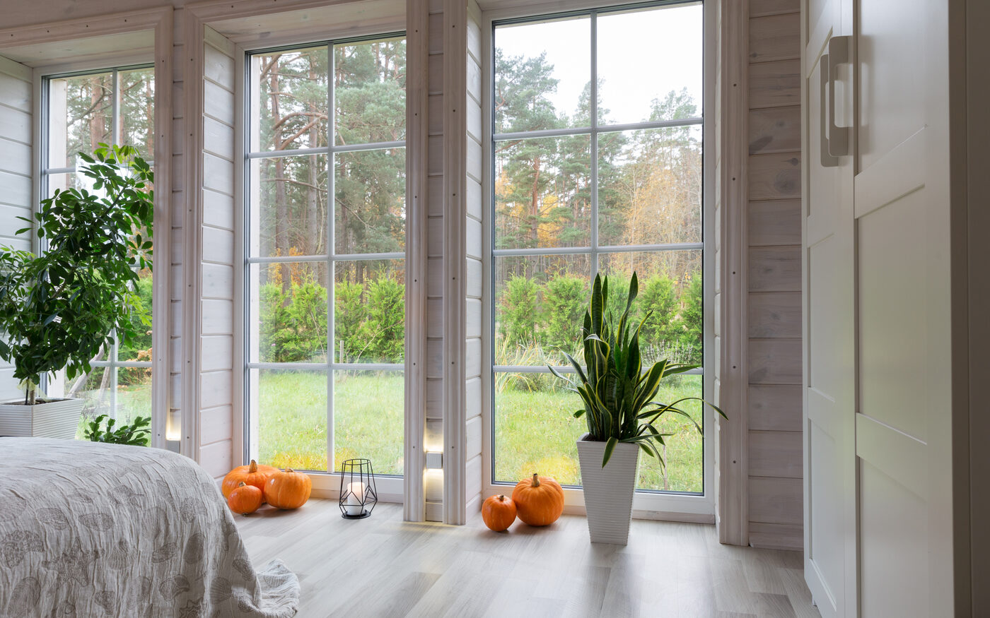 After: a bright window-encased studio with floor-to-ceiling glass, natural light and a garden view